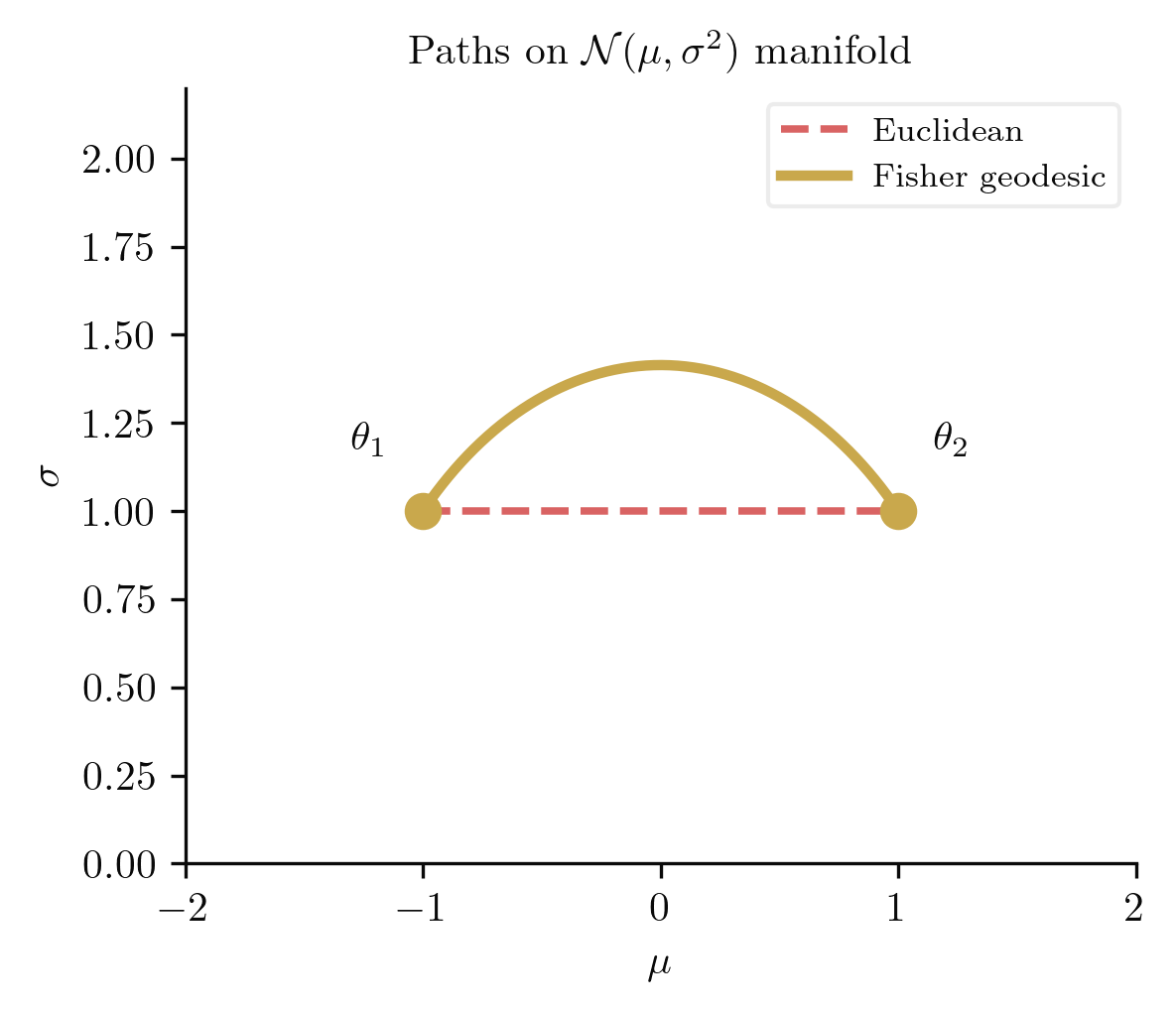 Fisher geodesic versus Euclidean path