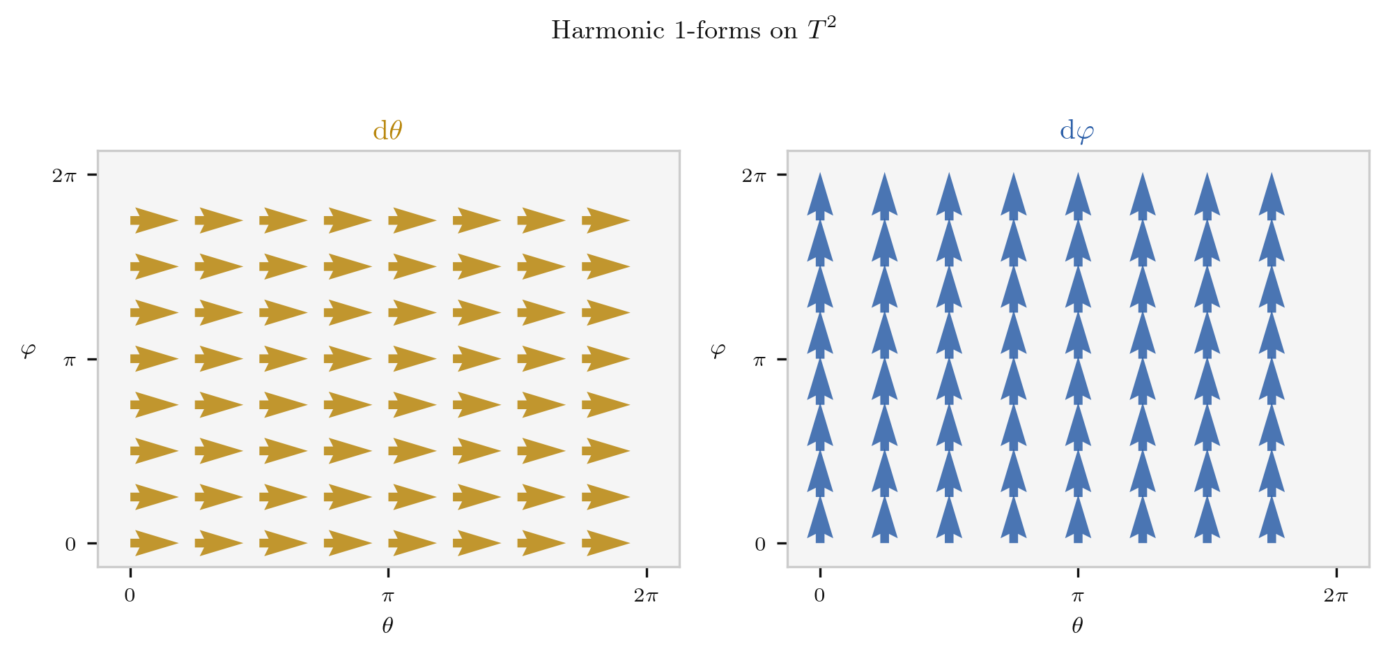 Two harmonic 1-forms dθ and dφ on the torus T², shown as uniform vector fields on the flat [0,2π]×[0,2π] representation